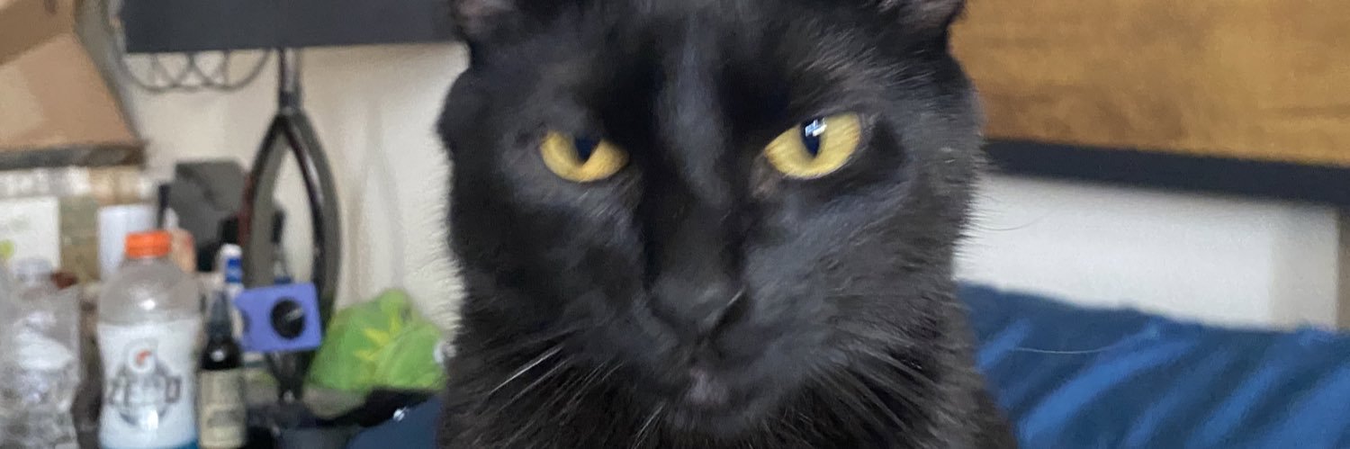 demetrius_ace's profile banner image