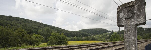 sebisme Profile Banner