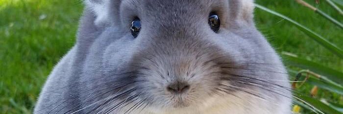xxSTNPxx's profile banner image