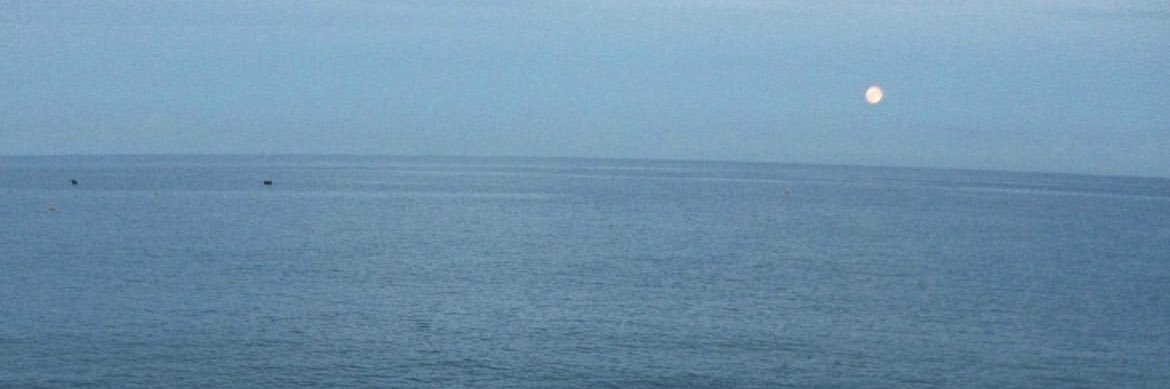 mind_flayeerr's profile banner image