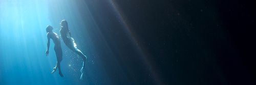 MateusErben's profile banner image