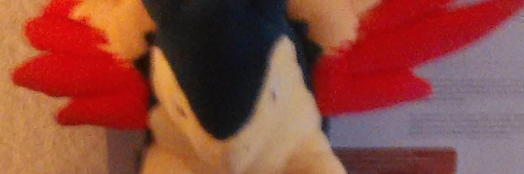 DevonCyndaquil's profile banner image