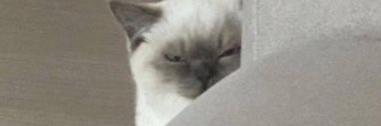 blanco_erick's profile banner image
