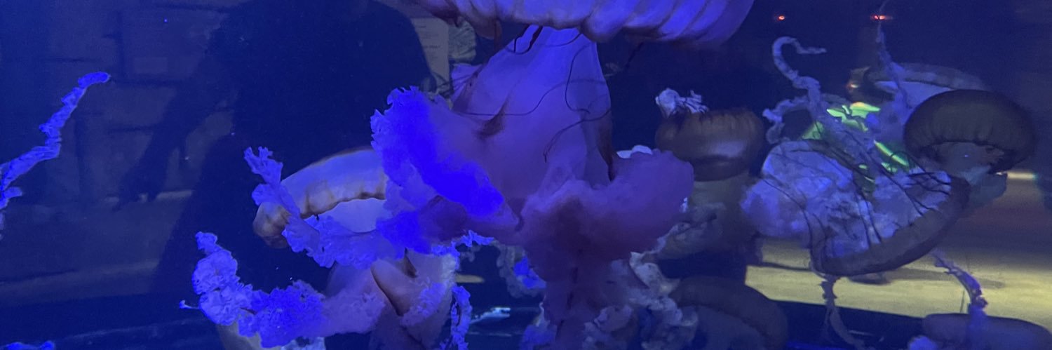 Raryescarry's profile banner image