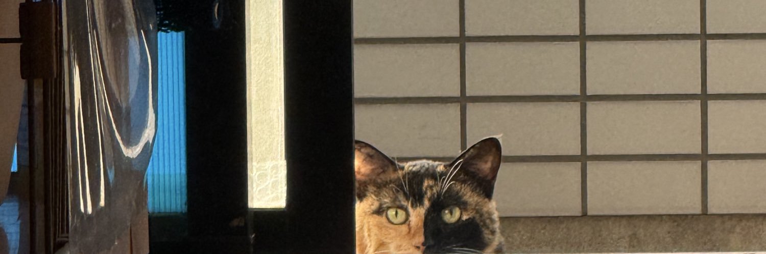 keiko0720's profile banner image
