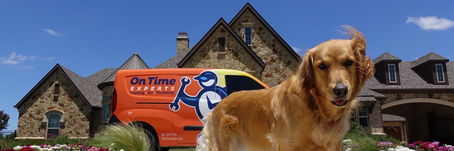 TheOnTimeExpert's profile banner image