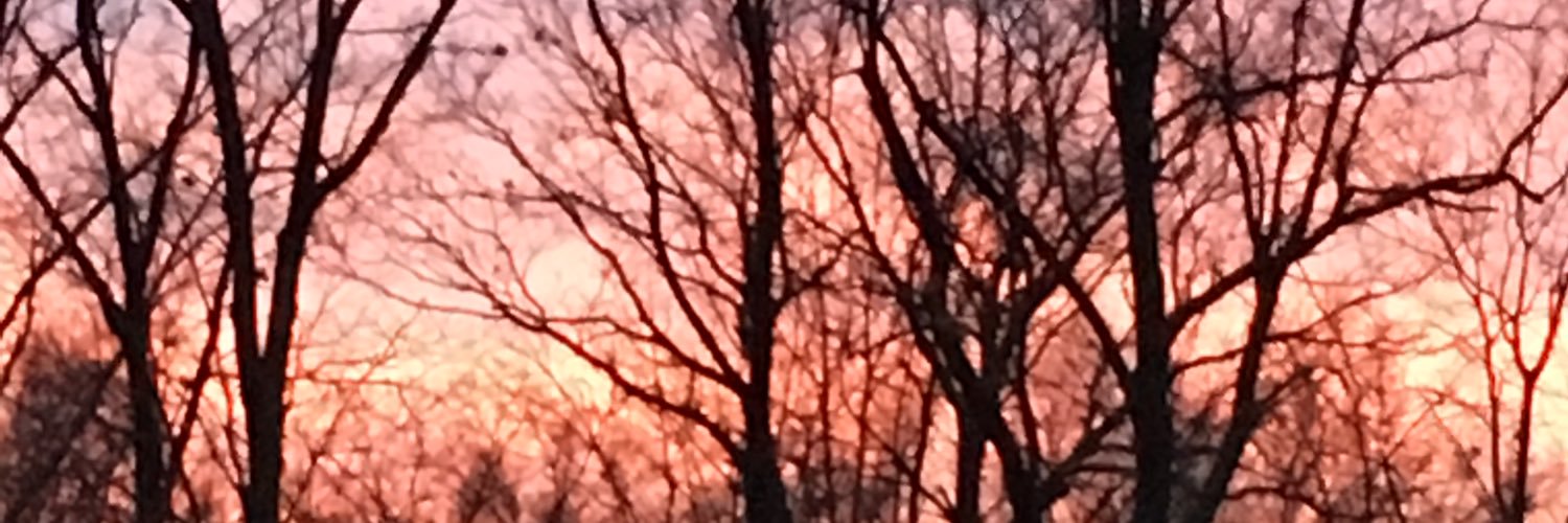 Ingber208's profile banner image