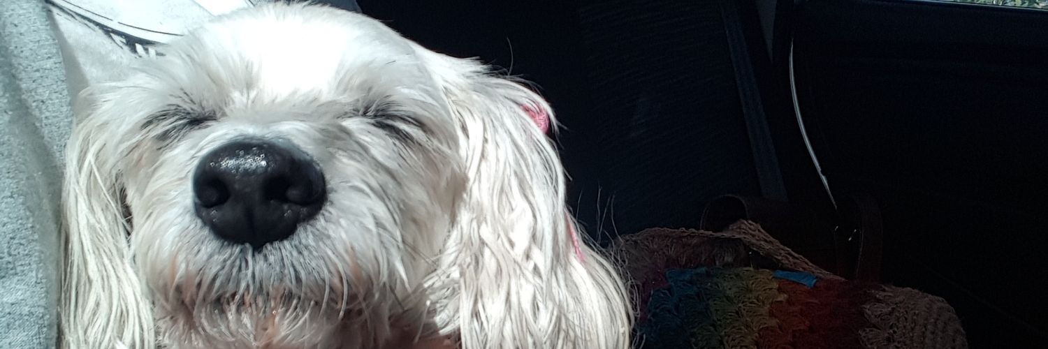 MaryAcosta_'s profile banner image