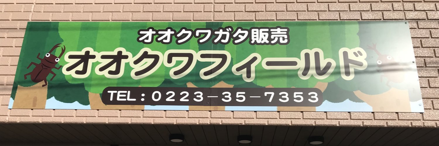 オオクワガタ販売・オオクワフィールド banner