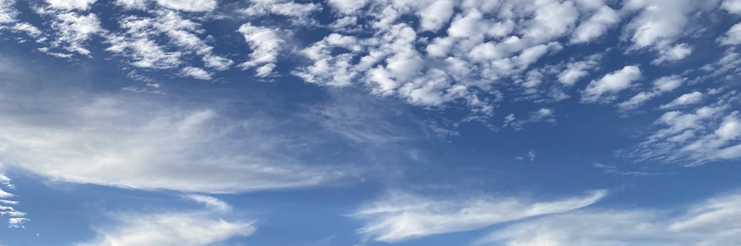 shelby_ed's profile banner image