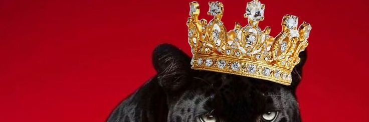 oxmond_d1983's profile banner image