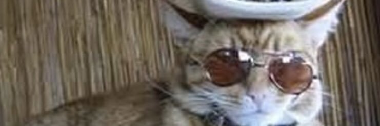 gabigriff_'s profile banner image