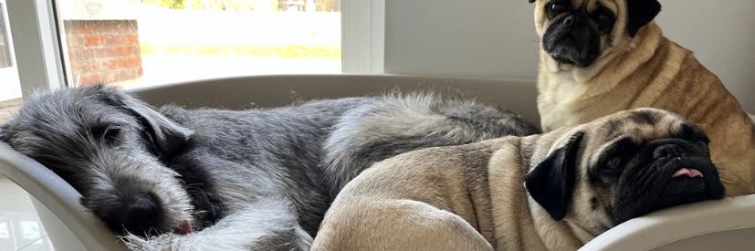 kerry_agnew's profile banner image