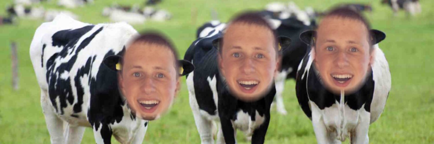 RCFaceSwapping's profile banner image