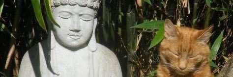 matheuxn's profile banner image