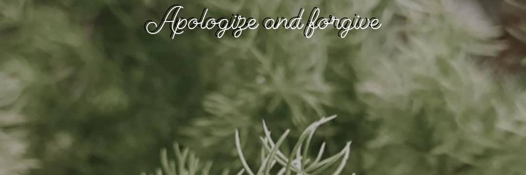 LaitufaNida's profile banner image