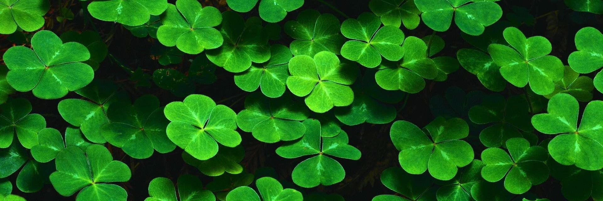 PatrickOmailey's profile banner image