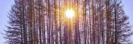 BadroAZIZ's profile banner image