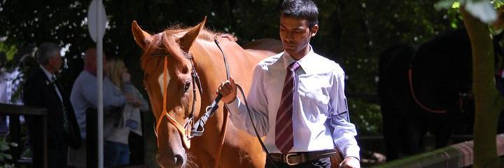 Rae Guest Racing banner