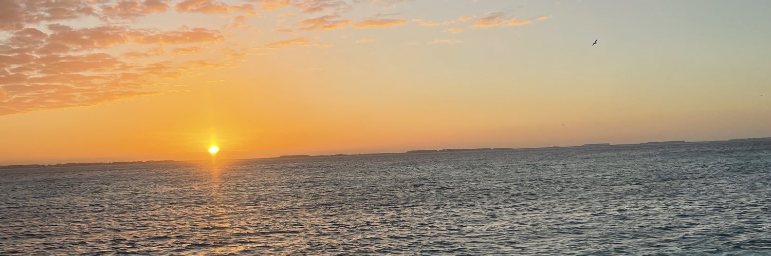 paurobles99's profile banner image