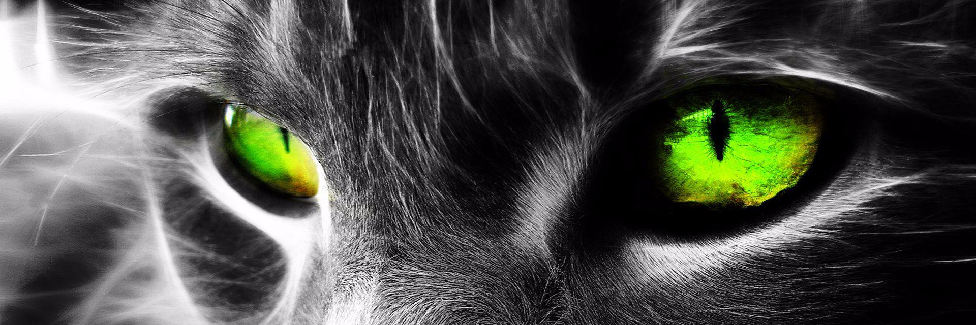 mak3mm's profile banner image