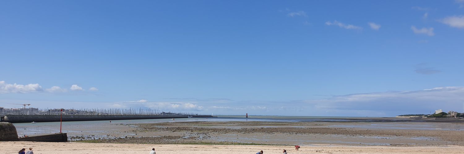 pascale proust banner