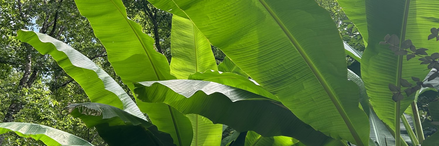 _jjipp_'s profile banner image