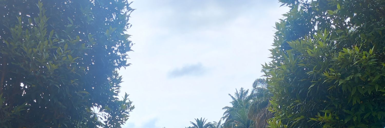 dhani_awanda's profile banner image