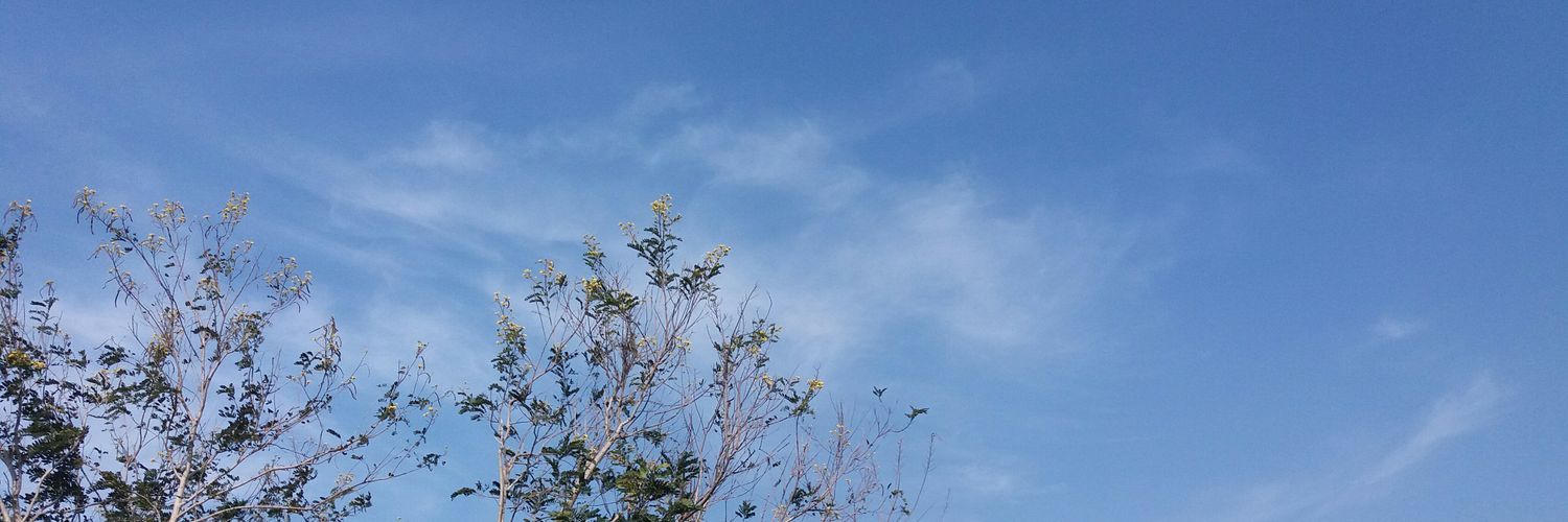 LittleT_twt's profile banner image