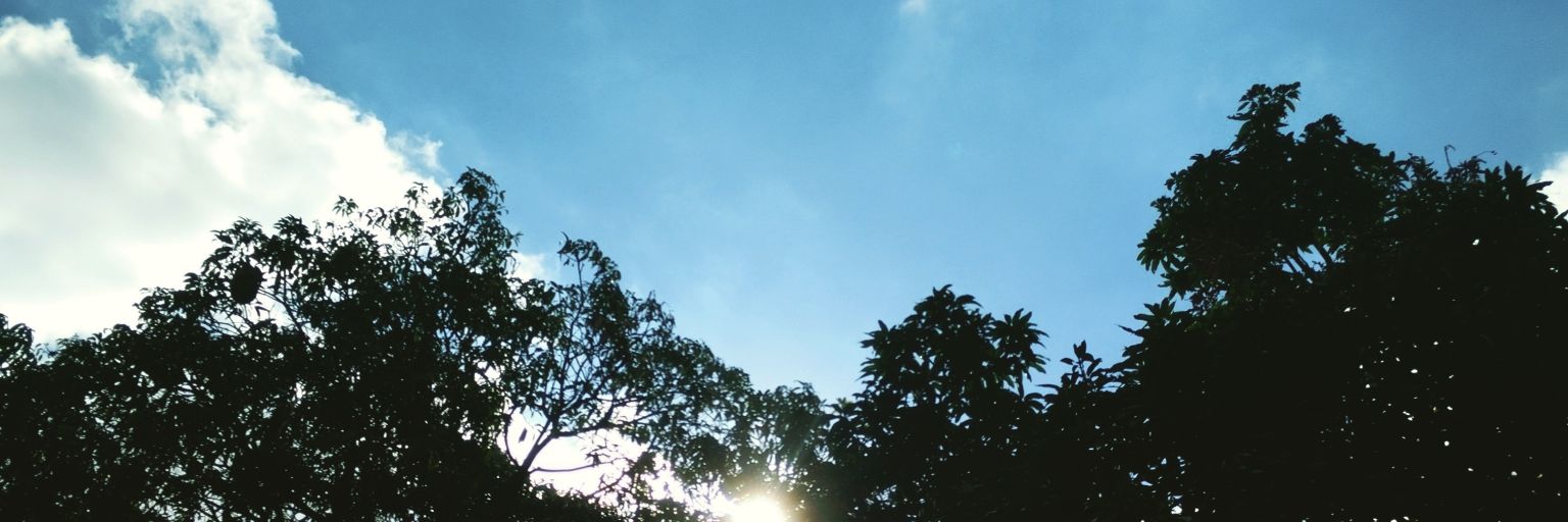 KimJonesEmm's profile banner image
