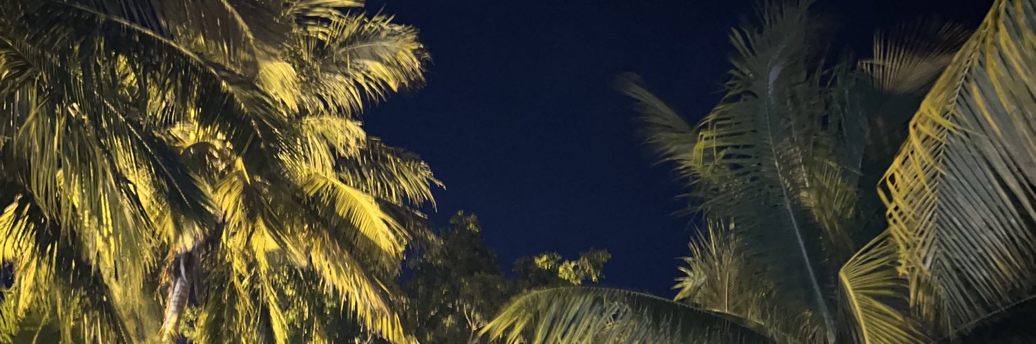 Noelia_schra_'s profile banner image
