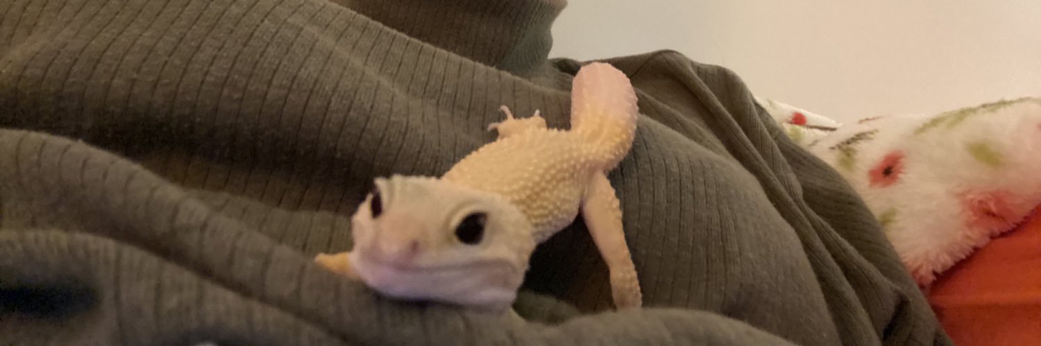 megoobe's profile banner image