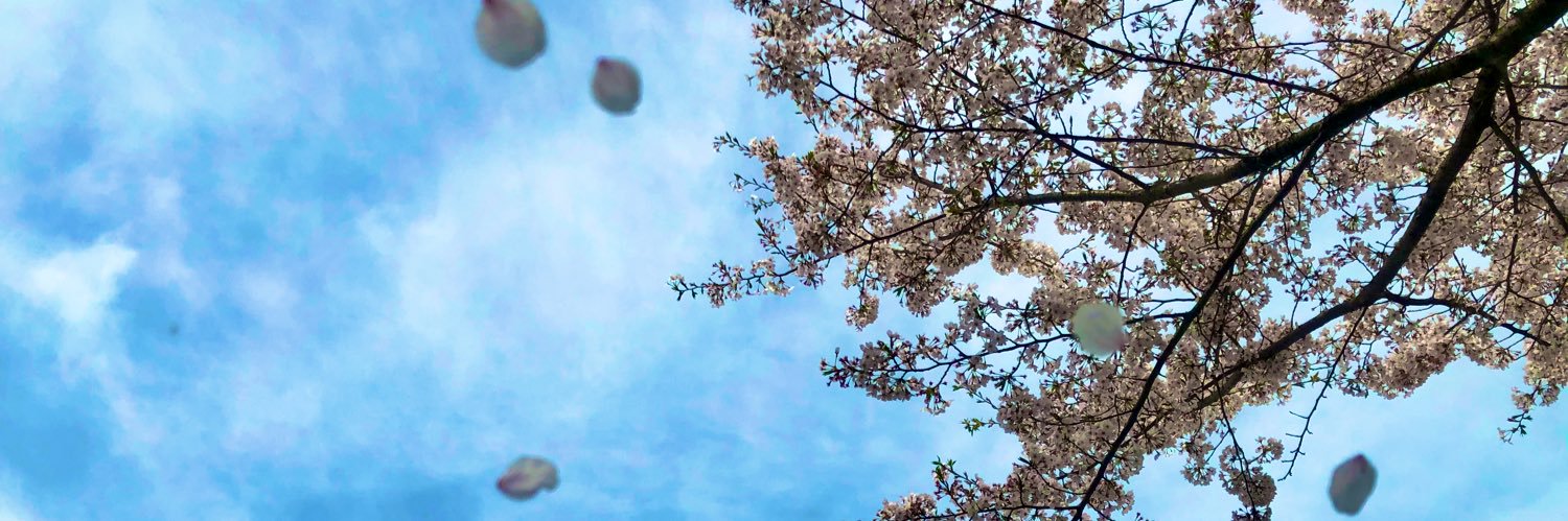 anni_aka's profile banner image