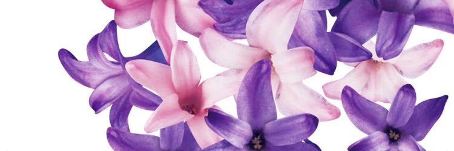 re_ex_'s profile banner image