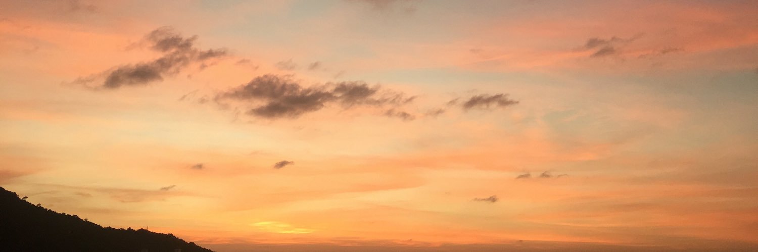 Hellnoleaveme's profile banner image