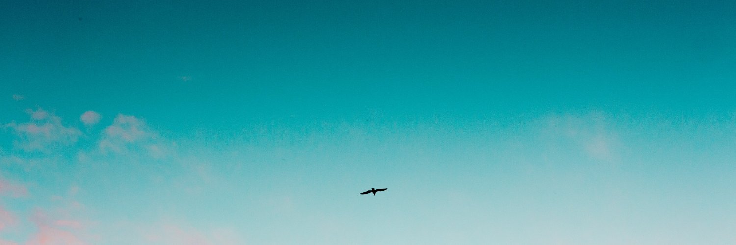 untitledx00's profile banner image