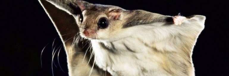_Antoine_O's profile banner image