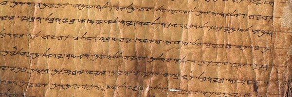 avichaifalach Profile Banner