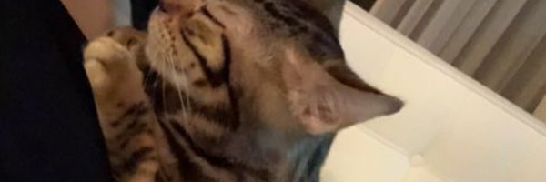 todayjun08123 Profile Banner