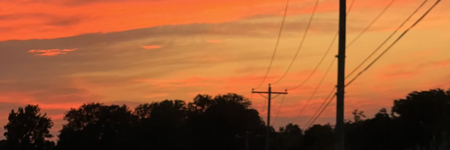 Emily Blum banner