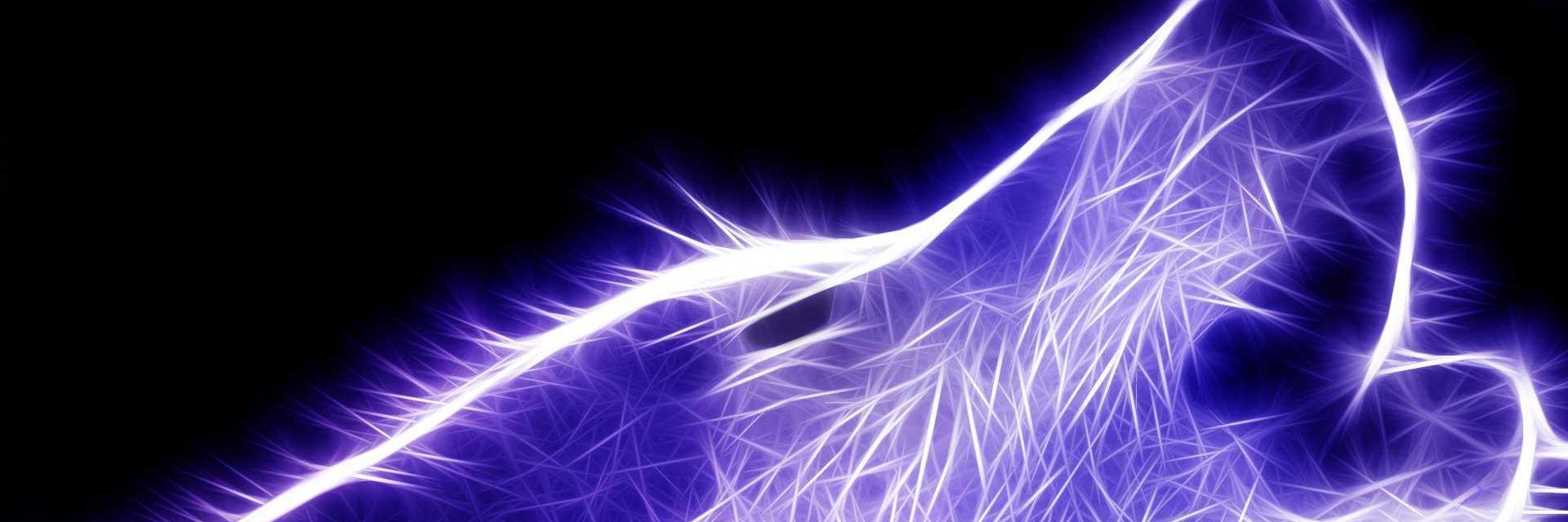 LyceWolf's profile banner image