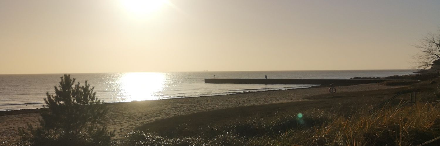 AlbinNilsso's profile banner image
