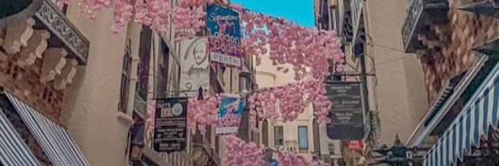 kucingkukevin's profile banner image