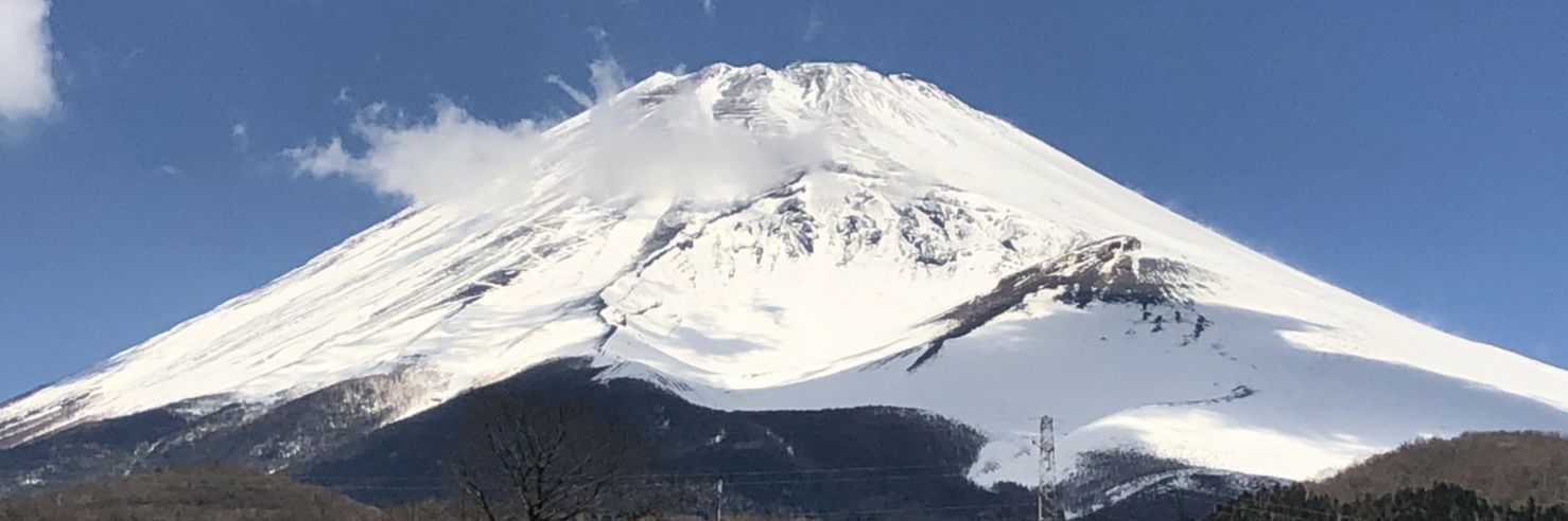ippofx's profile banner image