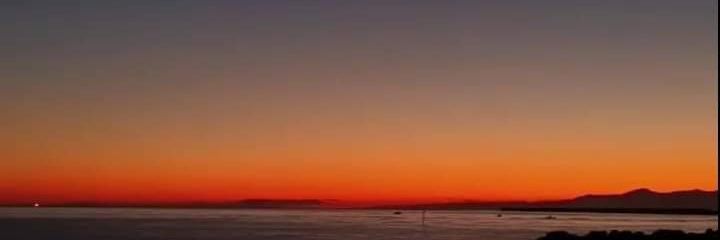 bettadedo's profile banner image