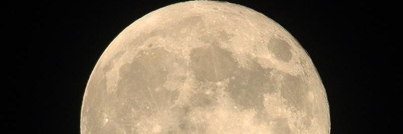 maronmarrow's profile banner image