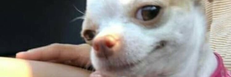 Werde_'s profile banner image