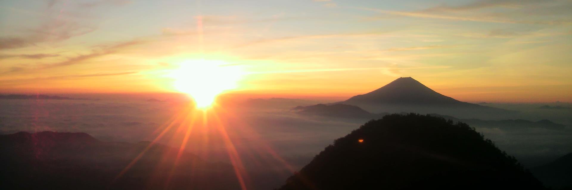 疲弊しきって寝落ちするホタルイカ banner