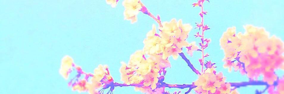 SwUw25's profile banner image