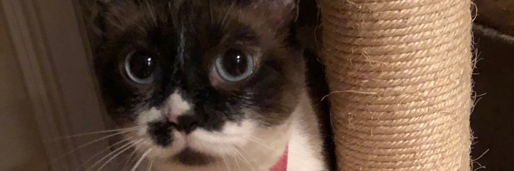 CAWDunn's profile banner image